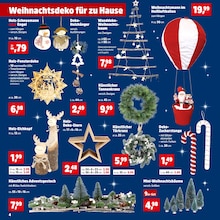 Weihnachtsbaum im Thomas Philipps Prospekt "Top Angebote" mit 32 Seiten (Albstadt)