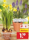 Blumenzwiebeln Angebote bei Netto Marken-Discount Passau für 1,19 €