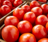 Tomate Allongée - Netto à Poitiers Tomate Allongée en promo chez Netto Poitiers à 1,99 €