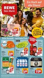 Aktueller REWE Supermarkt Prospekt in Wemding und Umgebung, "Dein Markt" mit 30 Seiten, 06.05.2024 - 11.05.2024