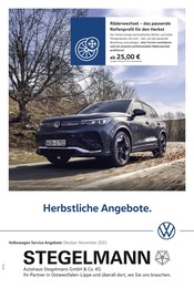 Aktueller Volkswagen Werkstatt & Auto Prospekt in Lage und Umgebung, "Herbstliche Angebote." mit 1 Seite, 01.10.2025 - 30.11.2025