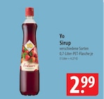 Erdbeere Fruchtsirup Angebote von Yo bei famila Nordost Neustadt für 2,99 €
