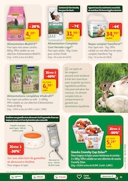 Offre Lapin dans le catalogue Maxi Zoo du moment à la page 11