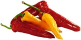 Spitzpaprika Mix im Angebot bei REWE in Erftstadt Spitzpaprika Mix Angebote von REWE Regional bei REWE Erftstadt für 1,99 €