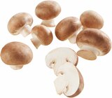 Polen Champignons „braun“ Angebote bei EDEKA Münster für 1,79 €
