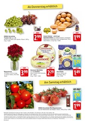 Blumen im EDEKA Prospekt in Tübingen Aktueller EDEKA Prospekt mit Blumen, "Aktuelle Angebote", Seite 12