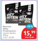 Whey Proteinpulver von Mammut im aktuellen budni Prospekt