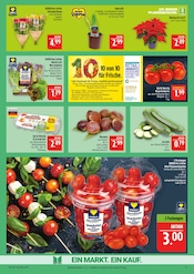 Aktueller Marktkauf Prospekt mit Blumen, "AUSWAHL RIESIG, PREISE NIEDRIG", Seite 9