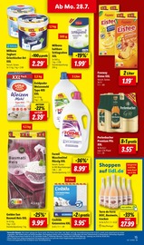 Aktueller Lidl Prospekt mit Katzenstreu, "LIDL LOHNT SICH", Seite 21