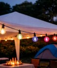 Solar-Dekolicht Flamingo Angebote bei toom Baumarkt Hagen für 7,99 €