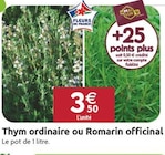 Promo Thym ordinaire ou Romarin officinal à 3,50 € dans le catalogue LaMaison.fr à La Guerche-de-Bretagne