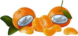 Mandarinen bei REWE im Recklinghausen Prospekt für 2,99 €