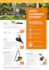 Aktueller STIHL Prospekt mit Küchengeräte, "In der Natur zuhause. Seit 1926.", Seite 7