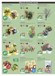 Blumenerde im V-Markt Prospekt "V-Markt einfach besser einkaufen" mit 30 Seiten (Augsburg)