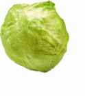 Aktuelles Eisbergsalat Angebot bei Netto Marken-Discount in Nürnberg ab 0,65 €