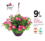 Pétunia suspension à 9,90 € dans le catalogue E.Leclerc