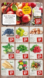 Aktueller nahkauf Prospekt mit Blumen, "nichts liegt näher", Seite 3