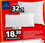 Kissen Silver Fresh von Billerbeck im aktuellen Segmüller Prospekt für 18,30 €