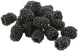 REWE Obrigheim - Brombeeren Angebot im Prospekt Brombeeren bei REWE im Obrigheim Prospekt für 2,22 €