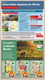 Biofleisch im REWE Prospekt in Weimar Aktueller REWE Prospekt mit Biofleisch, "Dein Markt", Seite 25