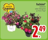 Fuchsien Angebote bei EDEKA Passau für 2,49 €
