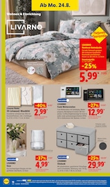 Aktueller Lidl Prospekt mit Bilder, "LIDL LOHNT SICH", Seite 38