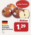 Deutsche Tafeläpfel Roter Boskoop bei combi im Alfhausen Prospekt für 1,29 €