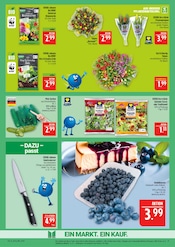 Aktueller Marktkauf Prospekt mit Blumen, "AUSWAHL RIESIG, PREISE NIEDRIG", Seite 11