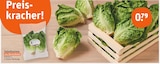 tegut - Salatherzen Angebot im Prospekt Salatherzen bei tegut im Prospekt "" für 0,79 €