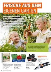 Arbeitskleidung im OBI Prospekt in Erkrath Aktueller OBI Prospekt mit Arbeitskleidung, "BRING FARBE IN DEN GARTEN!", Seite 8