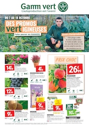 Prospectus Jardineries & Animaleries Gamm vert en cours à Castelnau-Montratier et alentours, "DES PROMOS vertIGINEUSES", 4 pages, 07/10/2026 - 18/10/2026 Catalogue Jardineries & Animaleries Gamm vert en cours à Castelnau-Montratier et alentours, "DES PROMOS vertIGINEUSES", 4 pages, 07/10/2026 - 18/10/2026