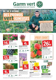 Catalogue Gamm vert de la semaine 40, "DES PROMOS vertIGINEUSES", page 1, 07/10/2026 - 18/10/2026 Prospectus Gamm vert en cours, "DES PROMOS vertIGINEUSES", page 1 sur 4