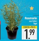 Rosmarin von  im aktuellen EDEKA Prospekt für 1,99 €