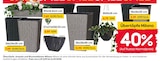 Aktuelles Übertöpfe, Ampeln und Blumenkästen Angebot bei Rusta in Bremen ab 2,39 €