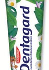 Original Zahncreme von Dentagard im aktuellen budni Prospekt für 0,59 €