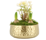 Jardiland La Queue-en-Brie - Promo Composition d'hiver Promo Composition d'hiver à 22,99 € dans le catalogue Jardiland à La Queue-en-Brie