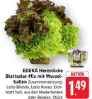 Aktuelle Salat Angebote bei E center in Stuttgart Aktuelles Herzstücke Blattsalat-Mix mit Wurzelballen Angebot bei E center in Stuttgart ab 1,49 €