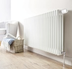 Thermostat connecté - REVOLT dans le catalogue PEARL