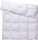 Couette en duvet Premium 240 x 220 cm - LIVERNO HOME - Lidl à Épinal Couette en duvet Premium 240 x 220 cm - LIVERNO HOME en promo chez Lidl Épinal à 59,99 €