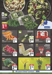 Garten im EDEKA Prospekt in Bayreuth Aktueller EDEKA Prospekt mit Garten, "Wir lieben Lebensmittel!", Seite 9