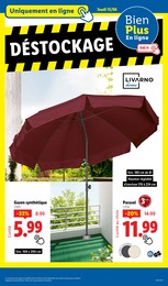 Offre Gazon Synthétique dans le catalogue Lidl du moment à la page 43