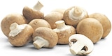 Champignons im REWE Prospekt Braune Champignons von REWE Regional im aktuellen REWE Prospekt für 1,49 €