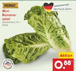 Netto Marken-Discount Freital - Mini-Romanasalat Angebot im Prospekt Mini-Romanasalat bei Netto Marken-Discount im Freital Prospekt für 0,88 €
