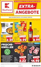 Aktueller Kaufland Supermarkt Prospekt für Dolgen am See: EXTRA-ANGEBOTE mit 8} Seiten, 24.07.2025 - 30.07.2025