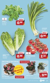 Aktueller combi Prospekt mit Salat, "Markt - Angebote", Seite 3