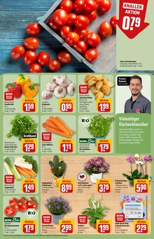 Pflanzen im aktuellen REWE Prospekt (Jena) Pflanzen im REWE Prospekt "Dein Markt" mit 32 Seiten (Jena)