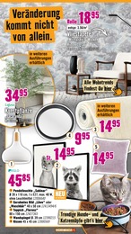 Hornbach Dekoration im Prospekt Hornbach Dekoration im Prospekt