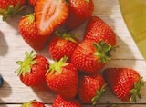 Aktuelle Erdbeeren Angebote bei Netto mit dem Scottie in Dresden Aktuelles Deutsche Erdbeeren Angebot bei Netto mit dem Scottie in Dresden ab 2,49 €
