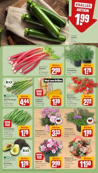 Blumen im REWE Prospekt "Dein Markt" mit 30 Seiten (Jena)