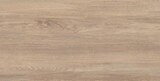 Carrelage extérieur grès cérame émaillé beige ASTURIO Ép. 7,4 mm - 31 x 62 cm à Brico Dépôt dans Solterre